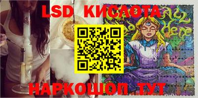 ГАЛЛЮЦИНОГЕННЫЕ ГРИБЫ Тверь