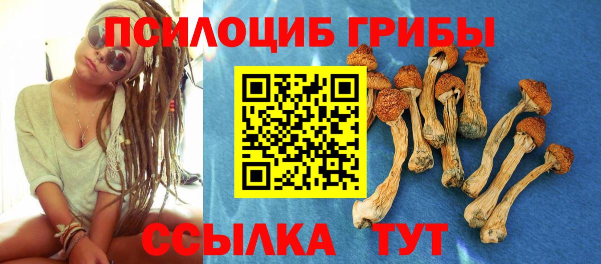Нефтекумск  где купить наркоту  Вход с VPN  Галлюциногенные грибы Magic Shrooms 
