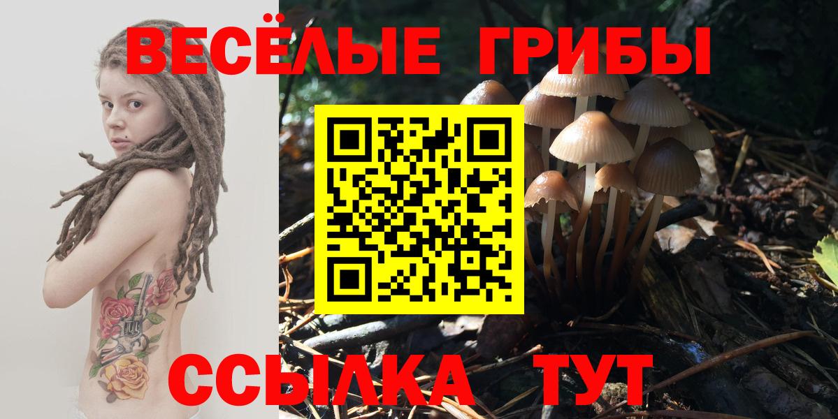 Псилоцибиновые грибы GOLDEN TEACHER Нефтекумск